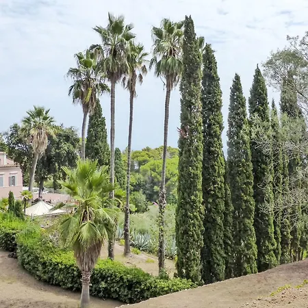 Le Palme By Interhome Apartment Rio Marina