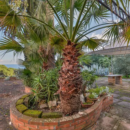 Le Palme By Interhome Apartment *